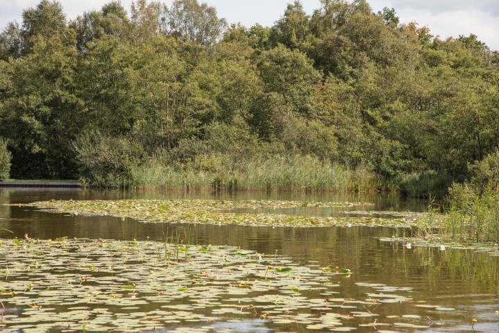 Arie de Kloet Uitvaartverzorging